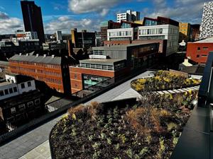 Johnsons Nurseries